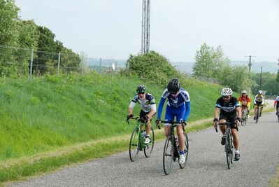 DSC_0262.jpg