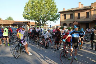 IMG_2901.jpg