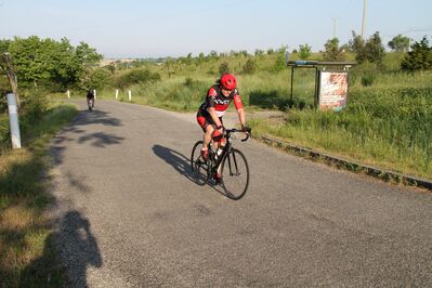 IMG_2943.jpg