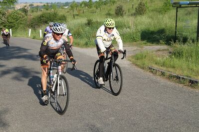 IMG_2956.jpg