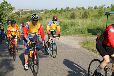 IMG_3039.jpg