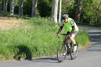 IMG_3174.jpg