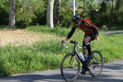 IMG_3238.jpg