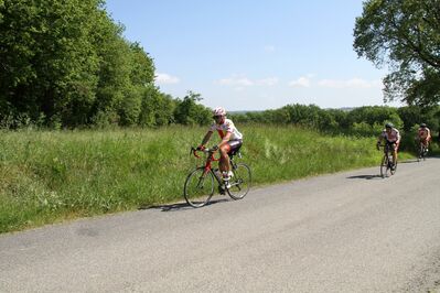 IMG_3423.jpg
