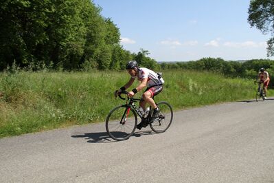 IMG_3424.jpg